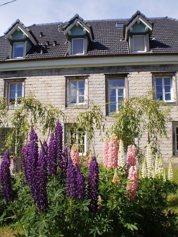 Chambres D'Hotes Le Clos Des Lesses Fresse-sur-Moselle Exteriör bild